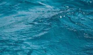 一点就透明的壁纸